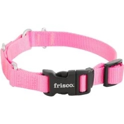 Frisco Solid Nylon Martingale Dog Collar With Buckle 10 Frisco Solid Nylon Martingale Dog Collar With Buckle -Frisco 139177 PT3. AC SS1800 V1620068872