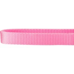 Frisco Solid Nylon Slip-On Martingale Dog Collar 8 Frisco Solid Nylon Slip-On Martingale Dog Collar -Frisco 139181 PT3. AC SS1800 V1620069443