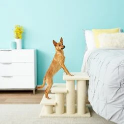 Frisco 18.5 Or 24.5 Inch 2-in-1 Cat & Dog Stairs 13 Frisco 18.5 Or 24.5 Inch 2-in-1 Cat & Dog Stairs -Frisco 140154 PT6. AC SS1800 V1584453442