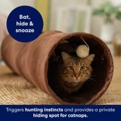 Frisco 35-in Foldable Crinkle Play Tunnel With 1 Window -Frisco 140166 PT3. AC SS1800 V1695670685