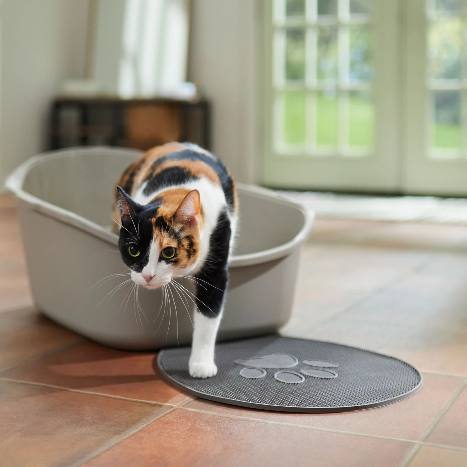 Frisco High Back Cat Litter Box, Extra Large 1 Frisco High Back Cat Litter Box, Extra Large