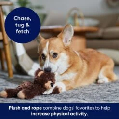 Frisco Bear Plush With Inside Rope Squeaky Dog Toy 10 Frisco Bear Plush With Inside Rope Squeaky Dog Toy -Frisco 147061 PT4. AC SS1800 V1695659155