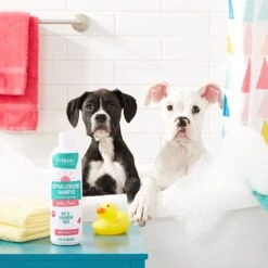 Frisco Hypoallergenic Puppy & Kitten Shampoo, Unscented 6 Frisco Hypoallergenic Puppy & Kitten Shampoo, Unscented -Frisco 152571 PT2. AC SS1800 V1551302781