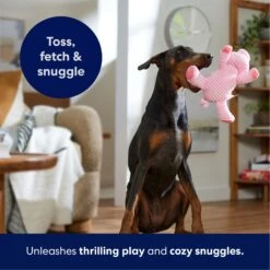 Frisco Corduroy Plush Squeaking Pig Dog Toy 10 Frisco Corduroy Plush Squeaking Pig Dog Toy -Frisco 152832 PT4. AC SS1800 V1695671001