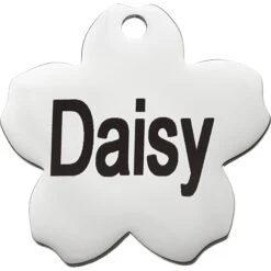 Frisco Stainless Steel Personalized Dog & Cat ID Tag, Flower 9 Frisco Stainless Steel Personalized Dog & Cat ID Tag, Flower -Frisco 153002 PT2. AC SS1800 V1548964685