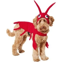 Frisco Red Lobster Dog & Cat Costume -Frisco 158723 PT2. AC SS1800 V1659023725