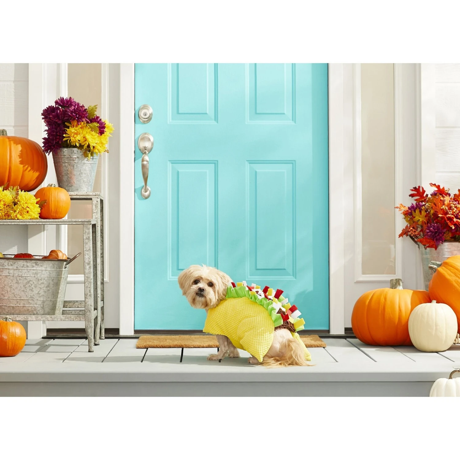 Frisco Taco Dog & Cat Costume 3 Frisco Taco Dog & Cat Costume - Image 3