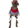 Frisco Front Walking Cowboy Dog & Cat Costume