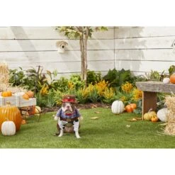 Frisco Front Walking Cowboy Dog & Cat Costume -Frisco 158842 PT3. AC SS1800 V1567176047