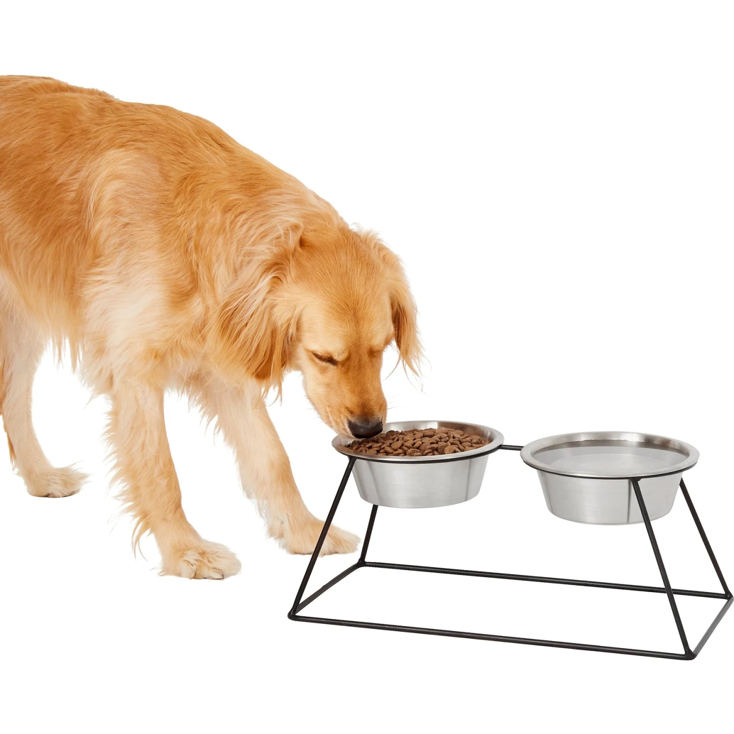 Frisco Pyramid Elevated Stainless Steel Double Diner Dog & Cat Bowl 1 Frisco Pyramid Elevated Stainless Steel Double Diner Dog & Cat Bowl