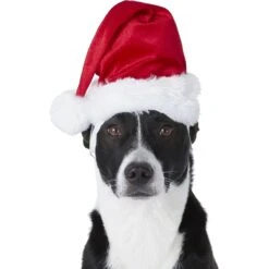 Frisco Holiday Dog & Cat Santa Hat, 1 Count -Frisco 160054 PT2. AC SS1800 V1669100718