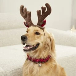 Frisco Holiday Antler Headband & Bell Collar Dog & Cat Costume 8 Frisco Holiday Antler Headband & Bell Collar Dog & Cat Costume -Frisco 160658 PT4. AC SS1800 V1568818037