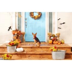 Frisco Vampire Cape Dog & Cat Costume -Frisco 160793 PT3. AC SS1800 V1567176564