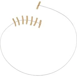 Frisco Cardboard & Wire Teaser Cat Toy