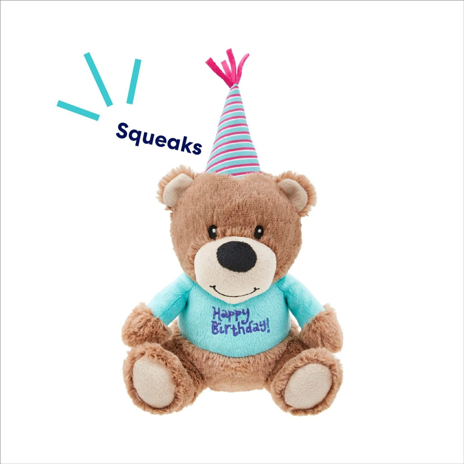 Frisco Birthday Bear Plush Squeaky Dog Toy 3 Frisco Birthday Bear Plush Squeaky Dog Toy - Image 3