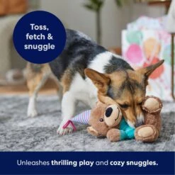 Frisco Birthday Bear Plush Squeaky Dog Toy 10 Frisco Birthday Bear Plush Squeaky Dog Toy -Frisco 162836 PT4. AC SS1800 V1695670999