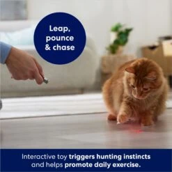 Frisco 2-in-1 Laser & LED Light Laser Cat Toy 7 Frisco 2-in-1 Laser & LED Light Laser Cat Toy -Frisco 166309 PT3. AC SS1800 V1686579688