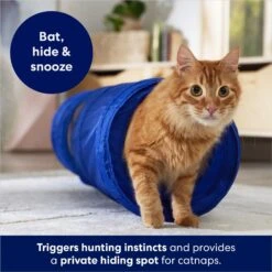 Frisco Foldable Play Tunnel With Mesh Cat Toy 6 Frisco Foldable Play Tunnel With Mesh Cat Toy -Frisco 166385 PT2. AC SS1800 V1686580143