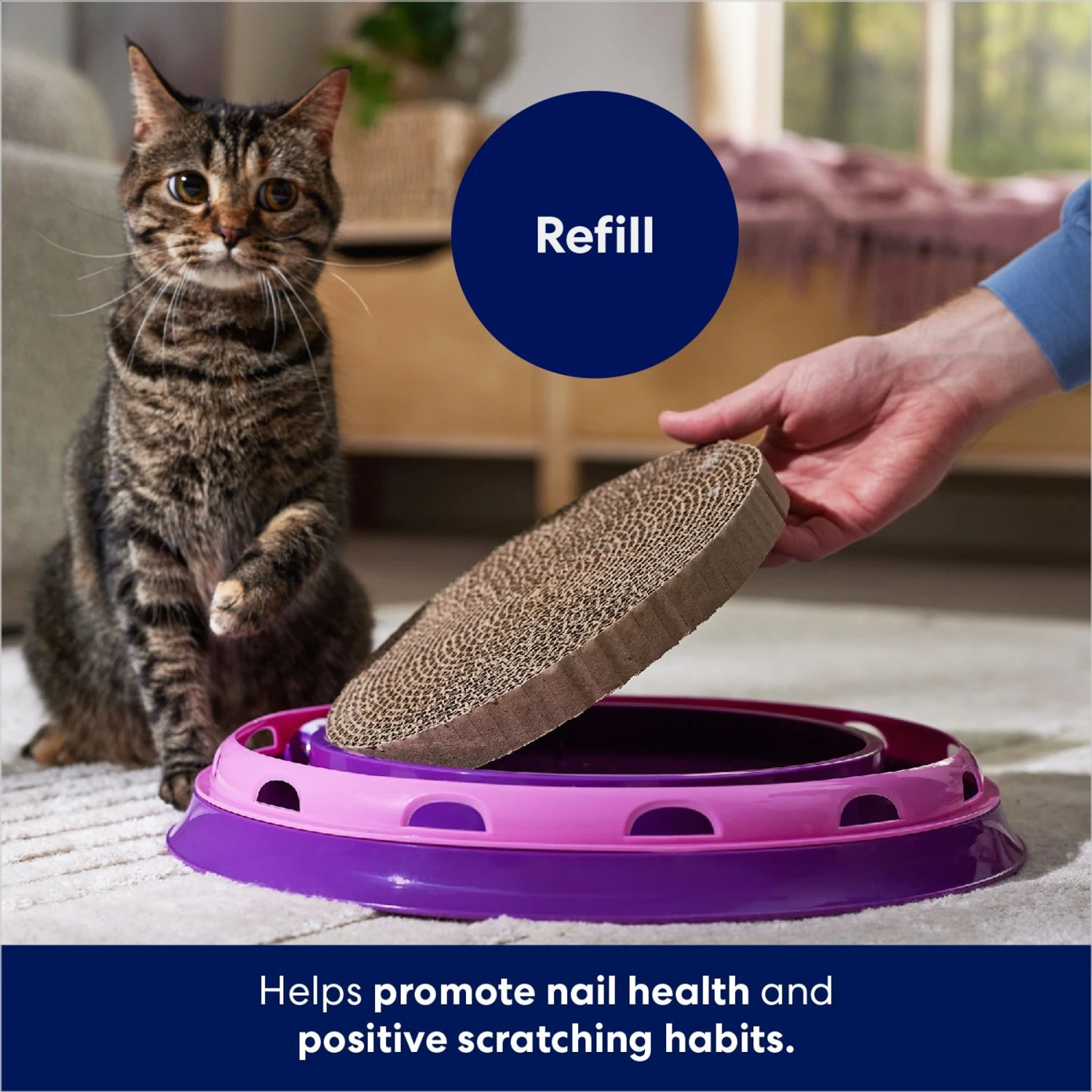 Frisco Scratch & Roll Scratcher Cat Toy Refills 3 Frisco Scratch & Roll Scratcher Cat Toy Refills - Image 3