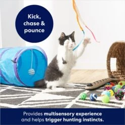 Frisco Plush, Teaser, Ball & Tri-Tunnel Variety Pack Cat Toy With Catnip, 20 Count -Frisco 178161 PT3. AC SS1800 V1678723898
