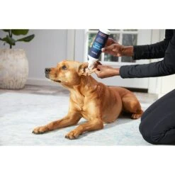 Frisco Anti-Bacterial And Anti-Fungal Ear Flush Cleaner For Cats & Dogs, 12-oz Bottle -Frisco 178705 PT3. AC SS1800 V1582124328