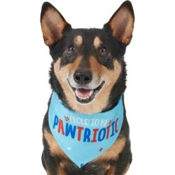 Frisco Pawtriot Dog & Cat Bandana