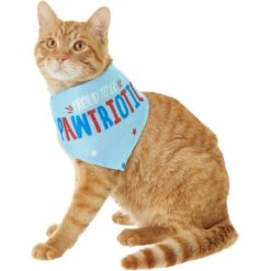 Frisco Pawtriot Dog & Cat Bandana 9 Frisco Pawtriot Dog & Cat Bandana -Frisco 191277 PT2. AC SS1800 V1584623825