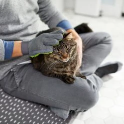 Frisco Dog & Cat Grooming Glove, Right Hand 13 Frisco Dog & Cat Grooming Glove, Right Hand -Frisco 206845 PT6. AC SS1800 V1610762805