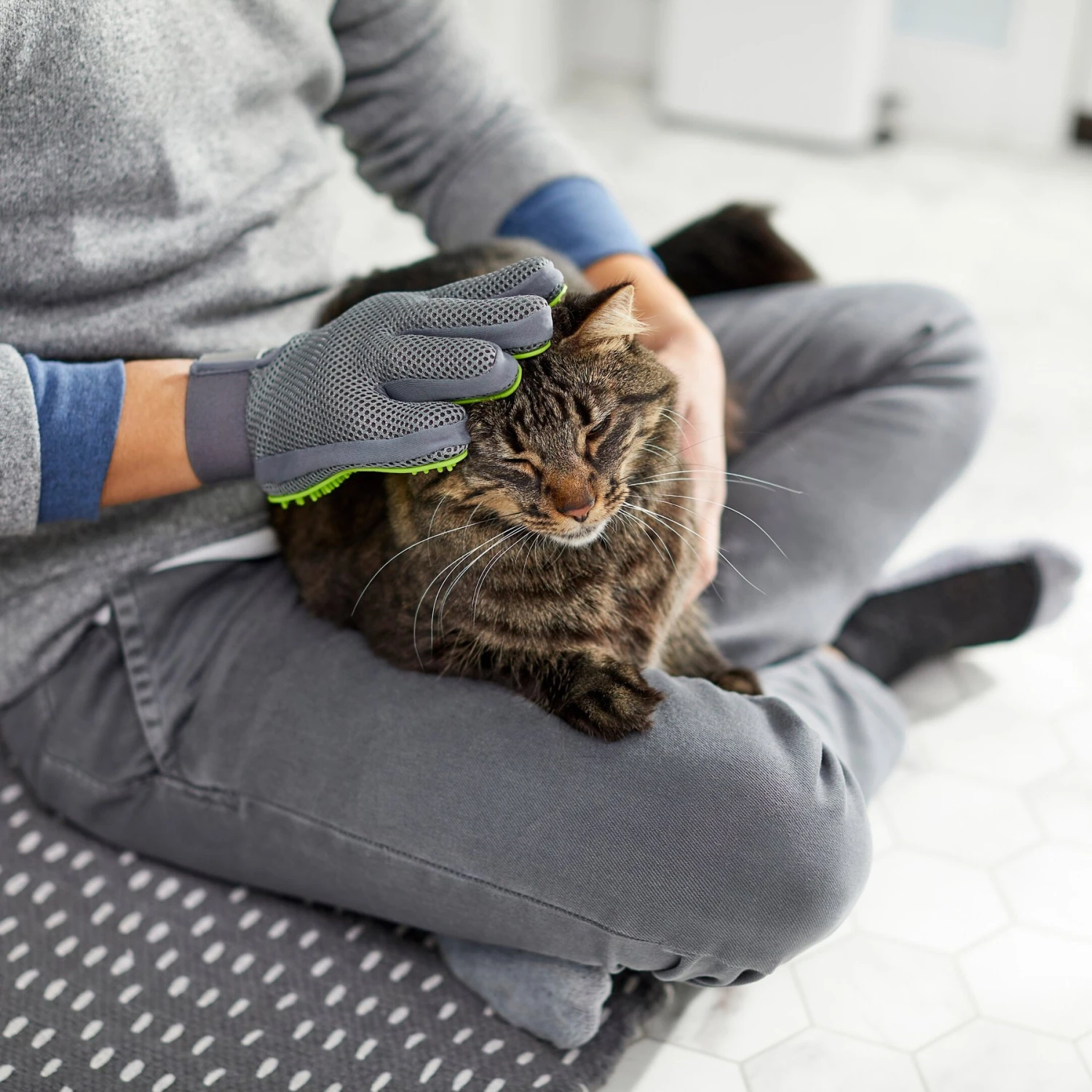 Frisco Dog & Cat Grooming Glove, Right Hand 6 Frisco Dog & Cat Grooming Glove, Right Hand - Image 6