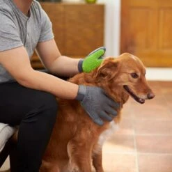 Frisco Dog & Cat Adjustable Grooming Gloves 12 Frisco Dog & Cat Adjustable Grooming Gloves -Frisco 206847 PT5. AC SS1800 V1610763673