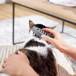 Frisco Cat Curry Brush 8 Frisco Cat Curry Brush -Frisco 206853 PT6. AC SS1800 V1680186158