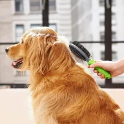 Frisco Cat & Dog Pin Bristle Brush -Frisco 206855 PT6. AC SS1800 V1680186157