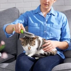 Frisco Cat & Dog Pin Brush -Frisco 206861 PT7. AC SS1800 V1680186386