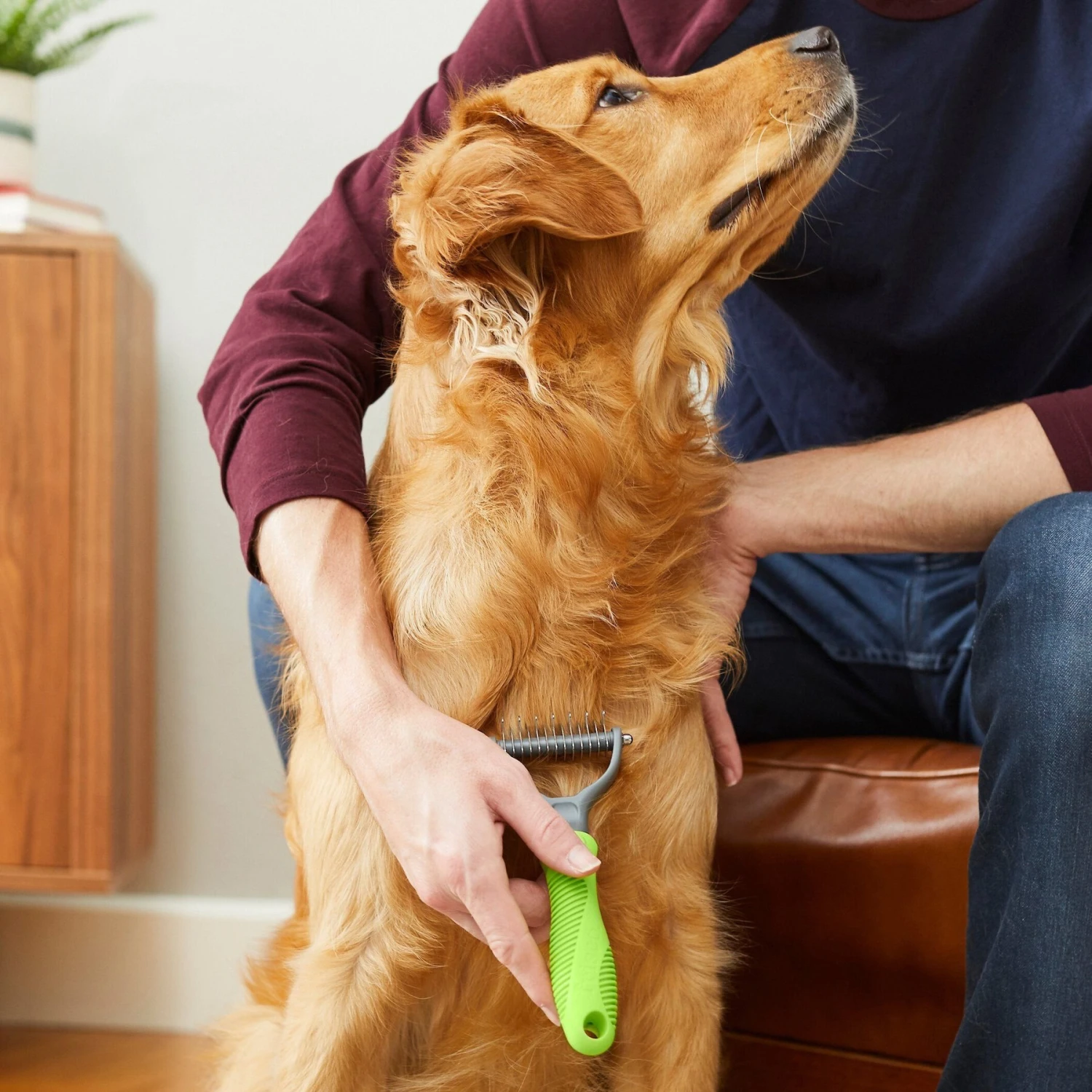 Frisco Dematting Double-Sided Dog & Cat Rake 4 Frisco Dematting Double-Sided Dog & Cat Rake - Image 4