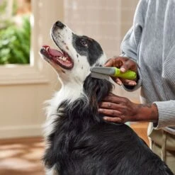 Frisco Double-Row Flea Comb For Cats & Dogs 7 Frisco Double-Row Flea Comb For Cats & Dogs -Frisco 206886 PT3. AC SS1800 V1680186388