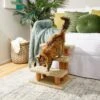 Frisco 20-in 3-Step Real Carpet Wooden Cat Steps