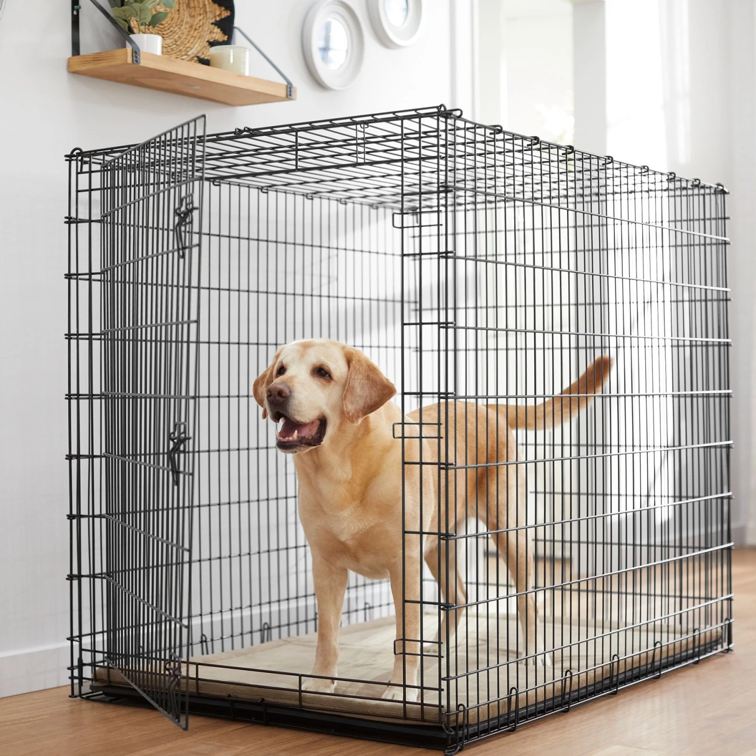 Frisco Heavy Duty Single Door Wire Dog Crate 1 Frisco Heavy Duty Single Door Wire Dog Crate