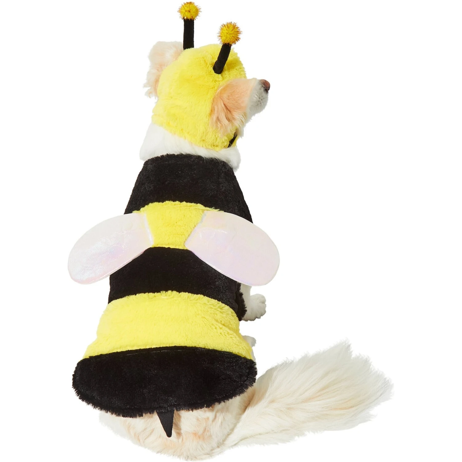 Frisco Bumble Bee Dog & Cat Costume 3 Frisco Bumble Bee Dog & Cat Costume - Image 3