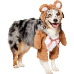 Frisco Front Walking Teddy Bear Dog & Cat Costume 11 Frisco Front Walking Teddy Bear Dog & Cat Costume -Frisco 215507 PT3. AC SS1800 V1624402415
