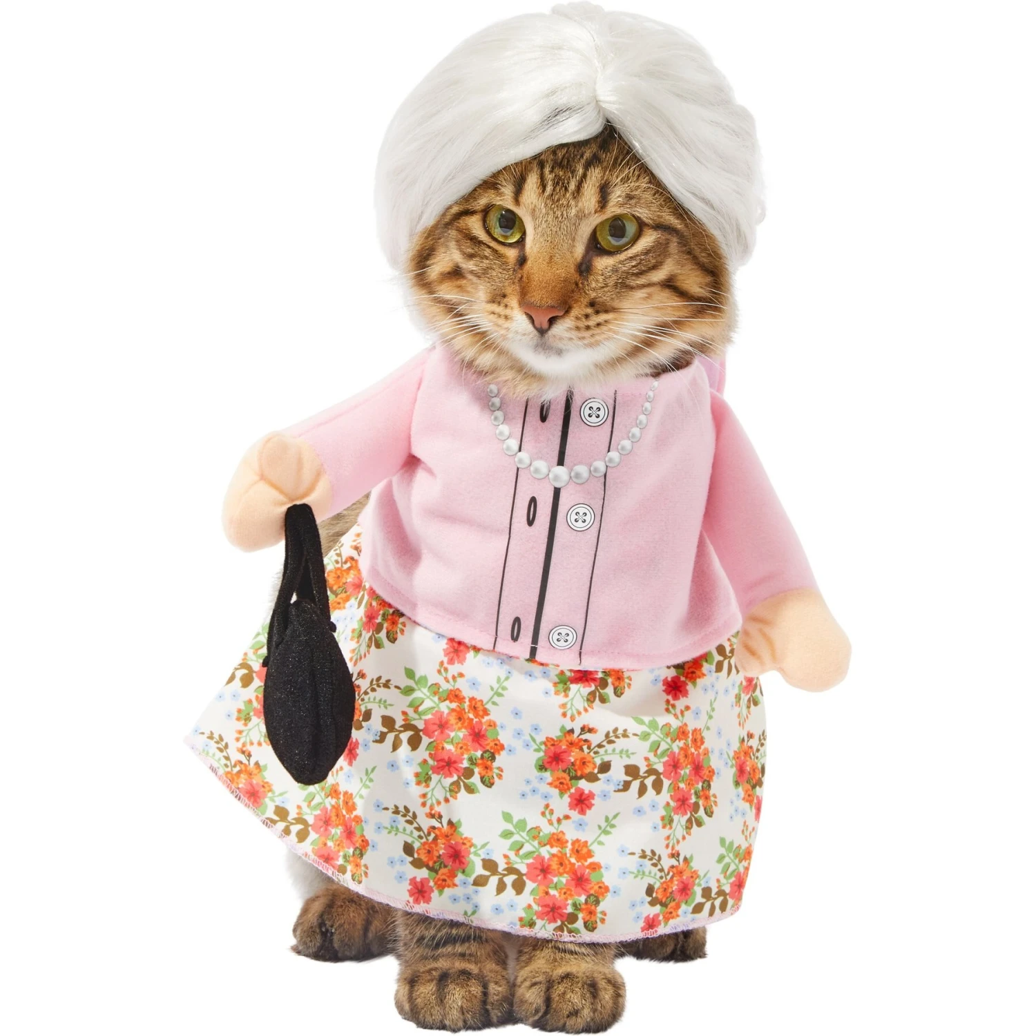 Frisco Front Walking Granny Dog & Cat Costume 1 Frisco Front Walking Granny Dog & Cat Costume