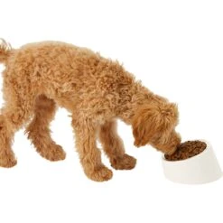 Frisco Slanted Stainless Steel Bowl 12 Frisco Slanted Stainless Steel Bowl -Frisco 216028 PT6. AC SS1800 V1605666119