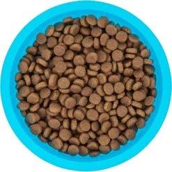 Frisco Plastic Suction Bowl, Blue 12 Frisco Plastic Suction Bowl, Blue -Frisco 216037 PT4. AC SS1800 V1591020655