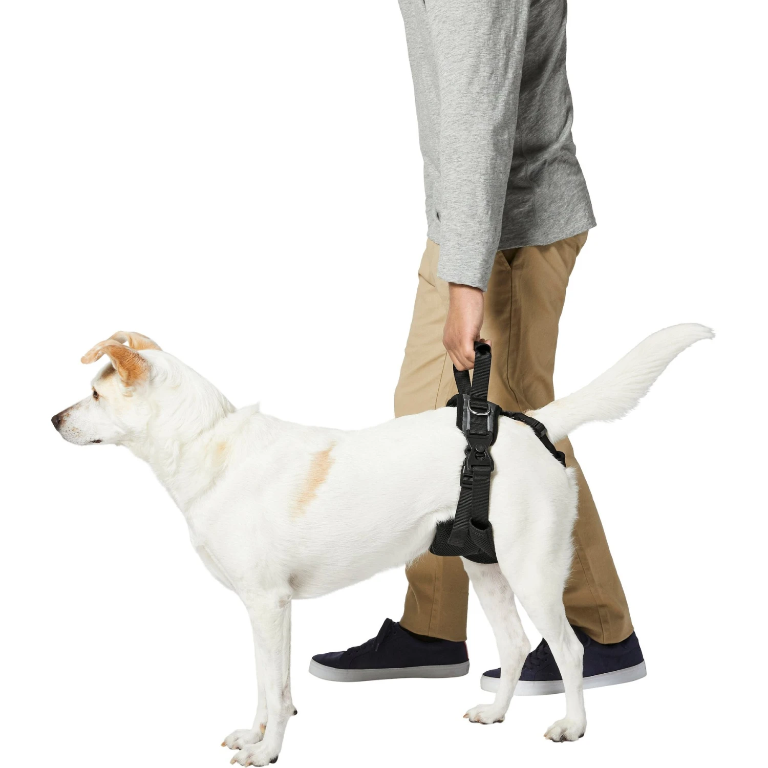 Frisco Rear Lift Handicapped Support Dog Harness 4 Frisco Rear Lift Handicapped Support Dog Harness - Image 4