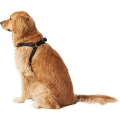 Frisco Nylon Step In Back Clip Dog Harness 8 Frisco Nylon Step In Back Clip Dog Harness -Frisco 220519 PT3. AC SS1800 V1605593555