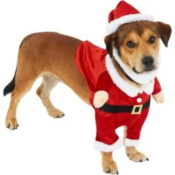 Frisco Front Walking Santa Dog & Cat Costume, 1 Count -Frisco 228785 PT3. AC SS1800 V1631300866