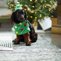 Frisco Front Walking Christmas Tree Dog & Cat Costume 12 Frisco Front Walking Christmas Tree Dog & Cat Costume -Frisco 229164 PT7. AC SS1800 V1601385981