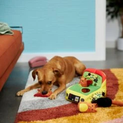 Frisco Retro Smack-a-Squirrel Hide & Seek Puzzle Plush Squeaky Dog Toy -Frisco 230313 PT3. AC SS1800 V1601947334