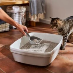 Frisco Lightweight Unscented Clumping Cat Litter -Frisco 230716 PT4. AC SS1800 V1659023918