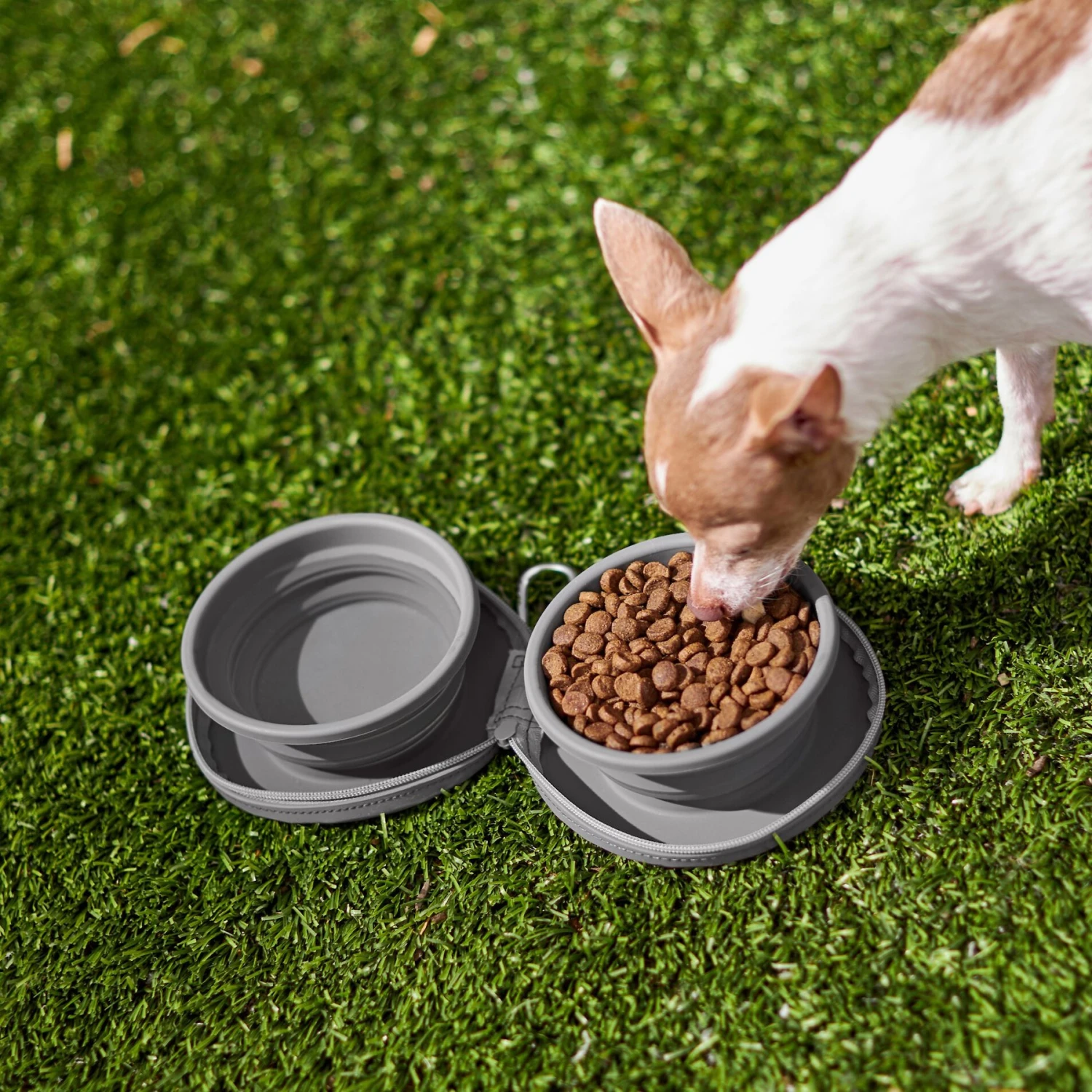 Frisco Travel Collapsible Silicone Dog & Cat Bowl 7 Frisco Travel Collapsible Silicone Dog & Cat Bowl - Image 7