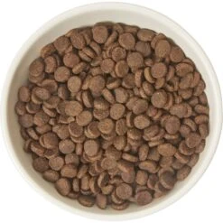 Frisco Double-Sided Ceramic Elevated Cat Bowl -Frisco 232081 PT3. AC SS1800 V1605145964